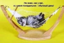 Поне.webp