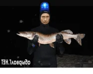 1362739569_putin_podvoh.webp