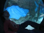 IMG_0232.JPG