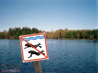17003_344571118996117_1581152236_n.webp
