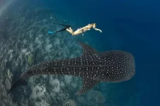 394866_306012759519592_1584314085_n.webp