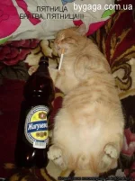1326455958_ho.webp