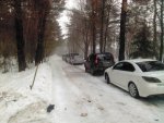 IMG_20130316_144020.jpg