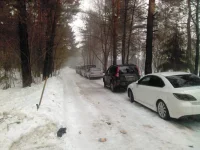IMG_20130316_144020.webp