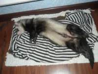SAM_4122.webp