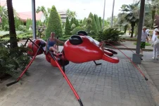 наездница муравьев.webp