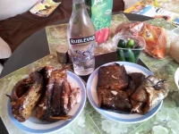 20130323_142534.webp