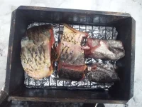 20130323_115141.webp