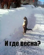 getImageCARM4W3K.webp