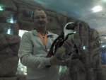 IMG_20130326_091813.jpg
