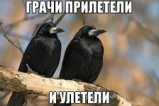 getImage (4).webp getImage (4).webp