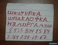 i.webp