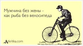 581414_470342099687219_146124015_n.webp