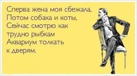 678yIbKjCpo.webp