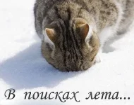 s3img_356964748_6648_1.webp