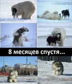 getImageCARZIRQD.webp