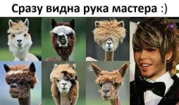 getImageCAWJDP19.webp