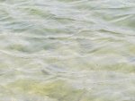 IMG_03221534916954.jpg