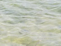 IMG_03221534916954.webp