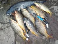 20130408_153847.webp