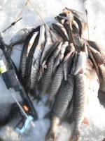 DSCF0159.webp