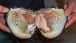 wpzprV3XVzQ.webp
