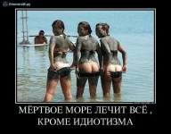 download.webp