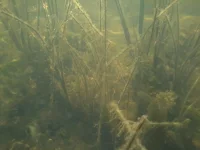 На Цне 05.08 (4).webp