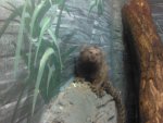 IMG_20130419_113119.jpg