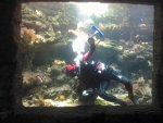 IMG_20130419_113639.jpg