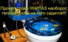 download (11).webp