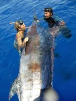 Fish2.webp