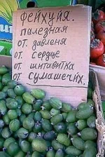 фейхуя.webp