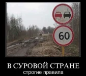 rules.webp