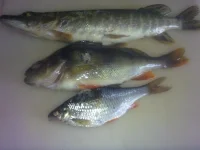 27042013108.webp