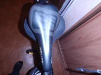 P4290134.webp