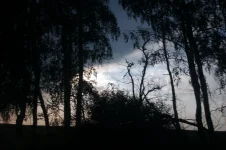 IMAG0052.webp