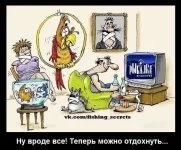 RMv6_EFgXrQ.webp