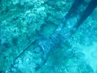 DSCF3213.webp