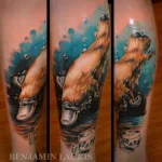 tatu-0060.webp