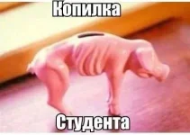 941951_490906807631815_1842247789_n.webp