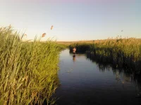 IMG_20130519_195618.webp