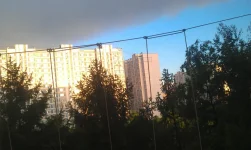 IMAG0577.webp
