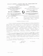 Приглашение подводных охотников.webp