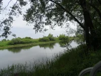 SAM_1168.webp
