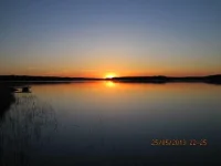 IMG_2385.webp