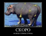 getImage (5).webp