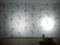 2013-03-11 20.09.44.webp