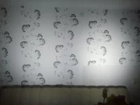 2013-03-11 20.46.05.webp