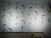 2013-03-11 20.19.09.webp